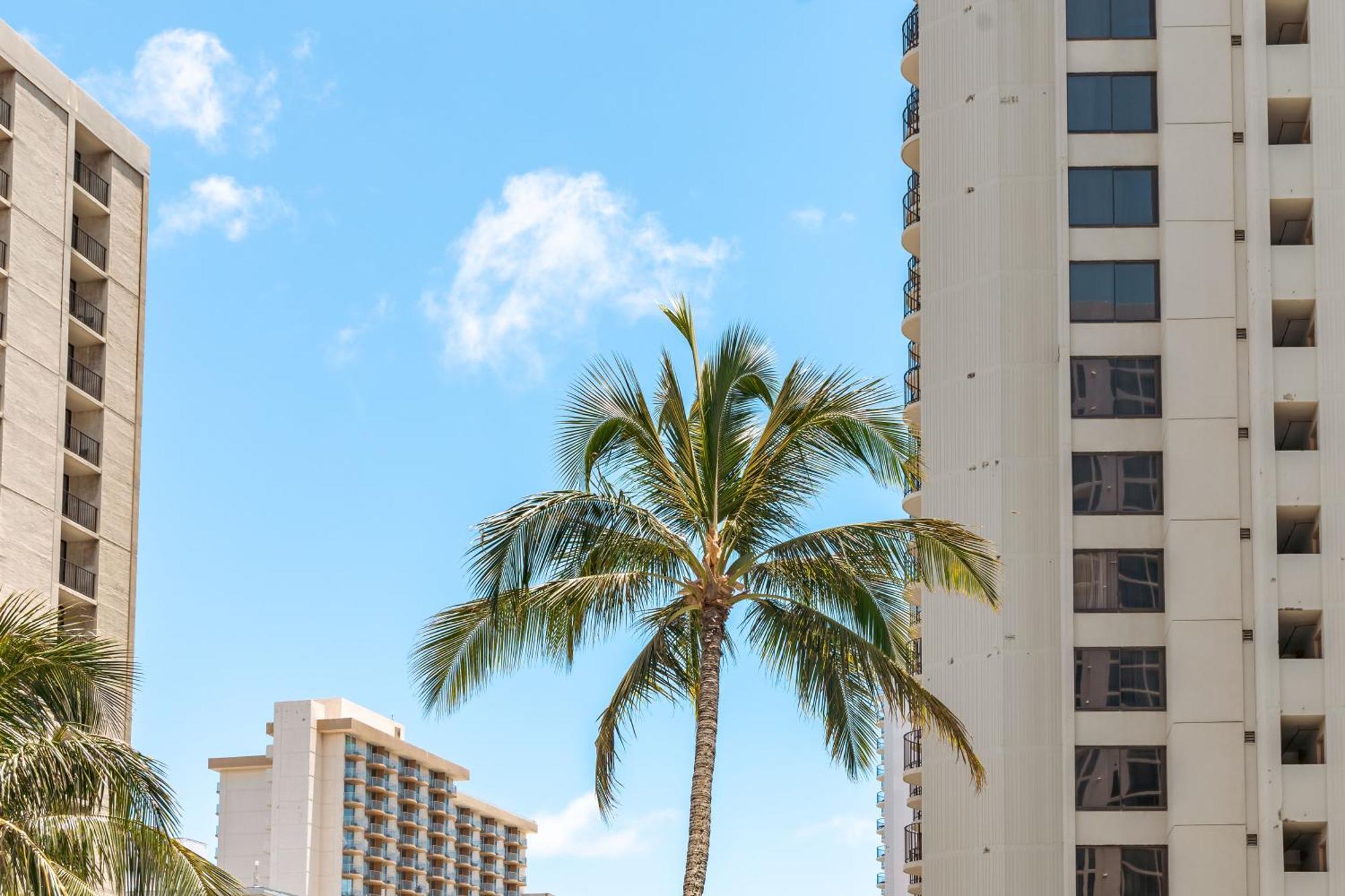 1Br With Great Ocean Views, 1 Block To Waikiki Beach Honolulu Kültér fotó